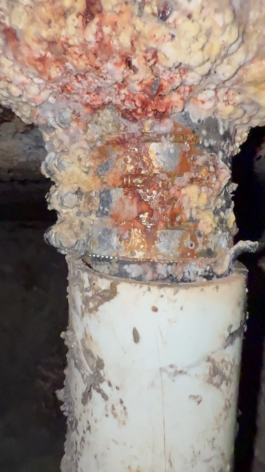 Heavily corroded cast iron drain pipe stub joined to new white PVC below it